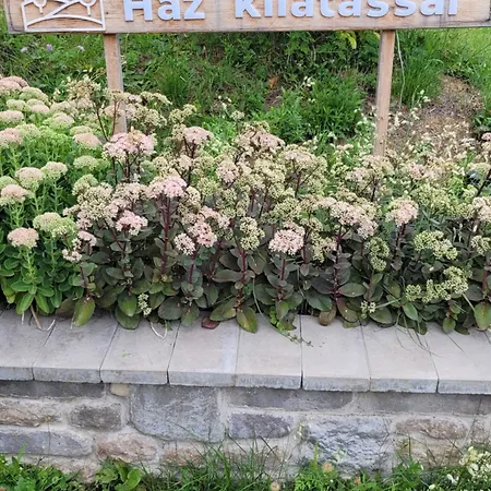 Haz Kilatassal * Zalaszántó